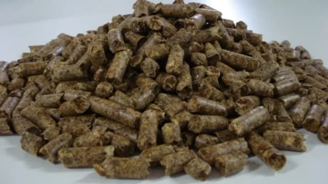 Pulpa de cítricos